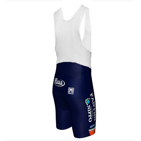 Nippo Vini Fantini Europa Ovini Kurzarmtrikot 2018 und Kurze Tragerhose Aus Blau